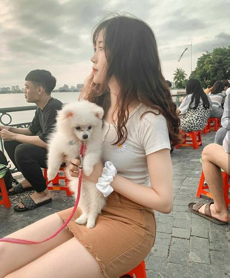 威尼斯之旅在线观看